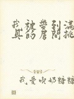 我被带到满是玩具的房间挑调作文