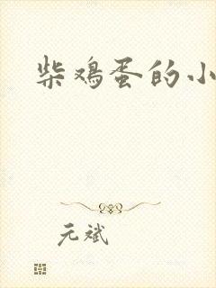 柴鸡蛋的小说