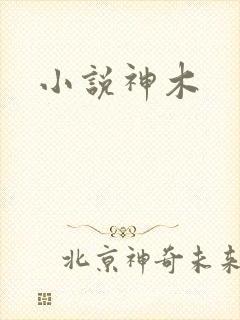 小说神木