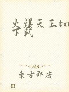 火爆天王txt下载