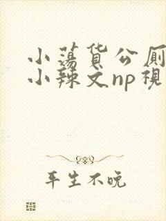 小荡货公厕h文小辣文np视频