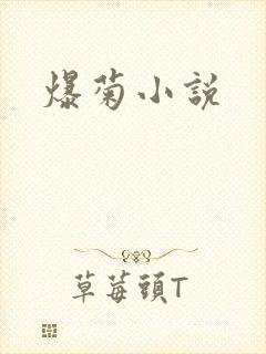 爆菊小说