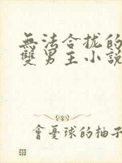 无法合拢的总裁双男主小说