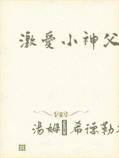 激爱小神父