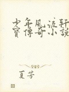 少年风流轩辕大宝传奇小说