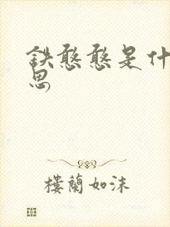 铁憨憨是什么意思