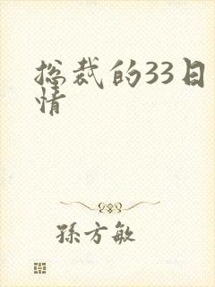 总裁的33日索情