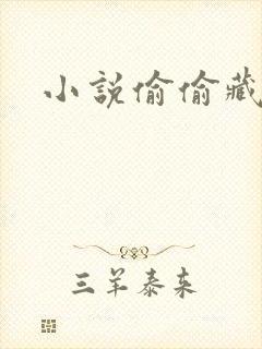 小说偷偷藏不住