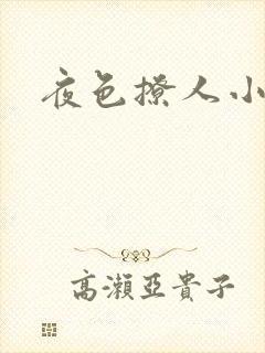 夜色撩人小说