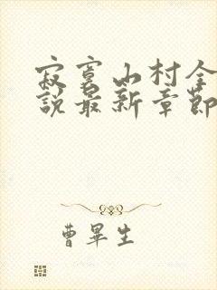 寂寞山村全部小说最新章节