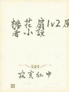 桃花扇1v2原著小说封面