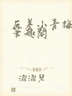 反差小青梅小说笔趣阁