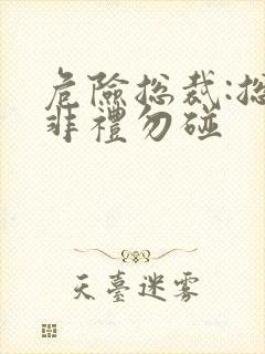 危险总裁:总裁非礼勿碰