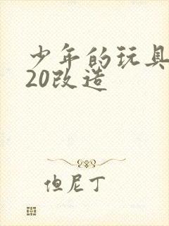 少年的玩具1一20改造