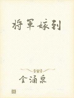 将军嫁到