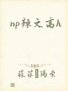 np辣文高h
