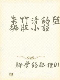 朱竹清的堕落改编版小说