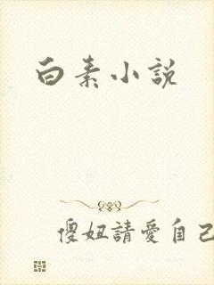 白素小说