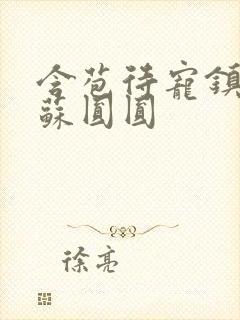 含苞待宠镇国公苏圆圆