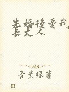 先婚后爱我的市长大人