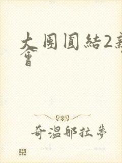 大团圆结2亲情会