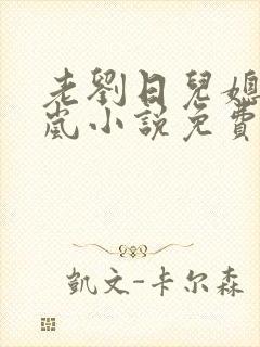 老刘日儿媳妇张岚小说免费阅读