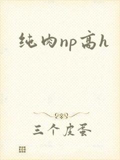 纯肉np高h