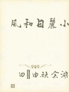 风和日丽小说