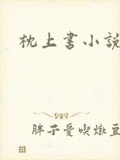 枕上书小说