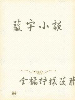 蓝宇小说