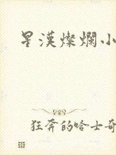 星汉灿烂小说