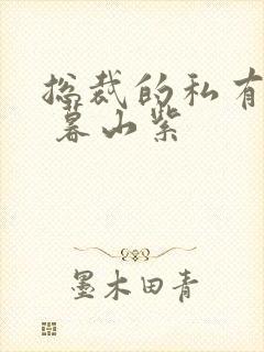 总裁的私有宝贝 暮山紫