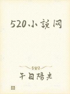 520小说网