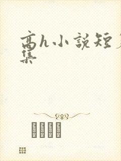 高h小说短篇合集
