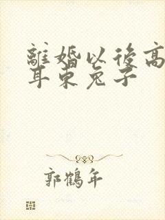 离婚以后高干 耳东兔子封面