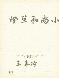 灯草和尚小说封面