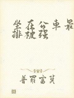 《坐在公车最后一排被强》小说封面