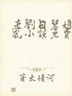 老刘日儿媳妇张岚小说免费阅读封面