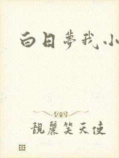 白日梦我小说
