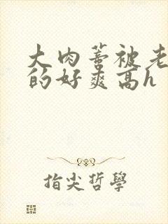 大肉蒂被老头嘬的好爽高h