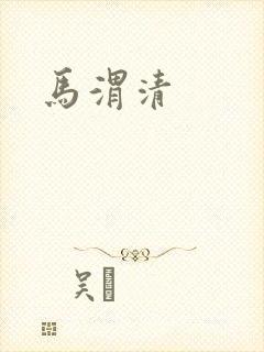 《马渭清》小说封面
