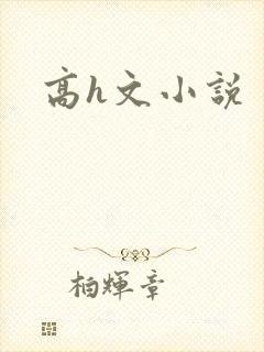 高h文小说