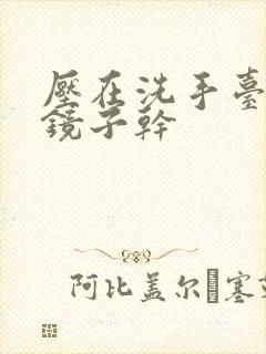 压在洗手台看着镜子干封面