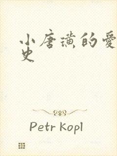 小唐璜的爱情历史