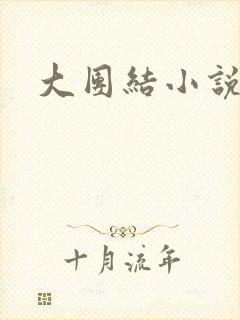 大团结小说下载