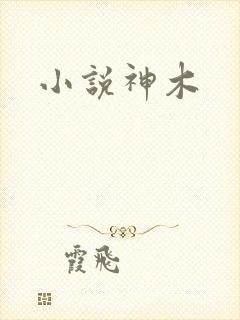 小说神木