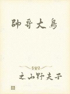 帅哥大鸟