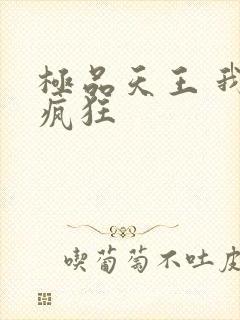 极品天王 我本疯狂
