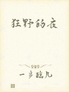 狂野的夜
