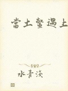 当土鳖遇上海龟